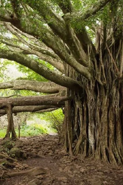 प्रेत-पूत