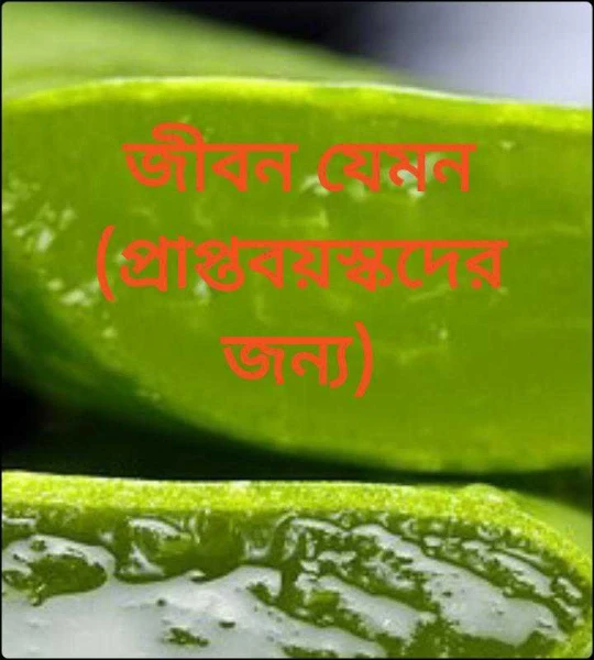 জীবন যেমন  (প্রাপ্তবয়স্কদের জন্য)