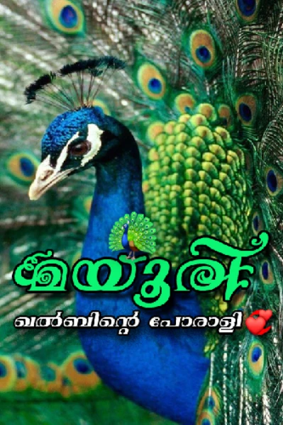 🦚 മയൂരി 🦚