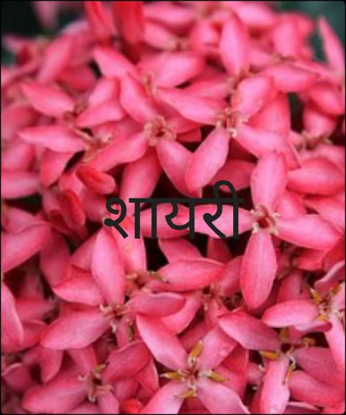 अनवर की 
शायरी