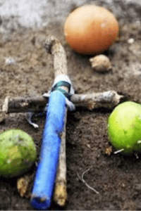 उतारा  :  भाग 1