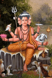 सद्गुरूंचे अनुभव भाग १