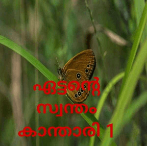 ഏട്ടന്റെ സ്വന്തം കാന്താരി 1