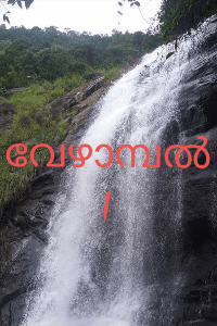 വേഴാമ്പൽ 1