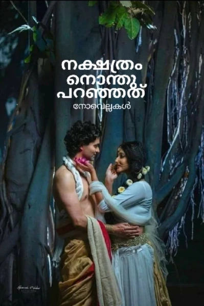 🌟നക്ഷത്രം നൊന്തു പറഞ്ഞത്(നോവെല്ല)