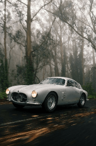 ಶಾಪಿತ ಮೈದಾನ