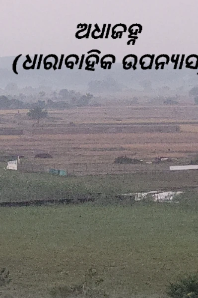 ଅଧାଜହ୍ନ (ଧାରା ବାହିକ ଉପନ୍ୟାସ)