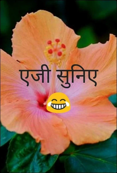 एजी सुनिए 😂