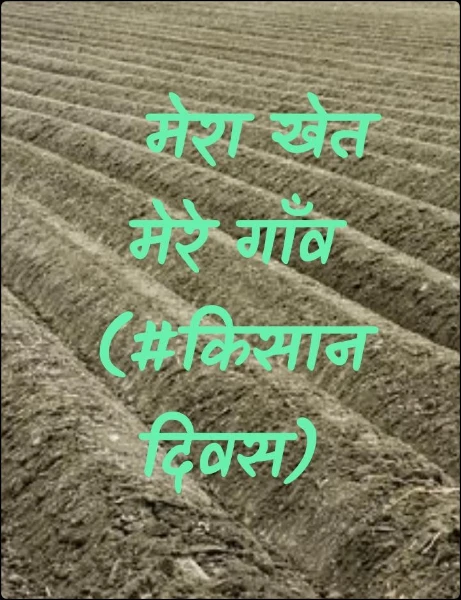 मेरा खेत मेरे गाँव     (#किसान दिवस)