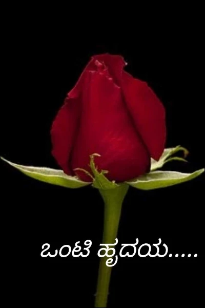 ಒಂಟಿ ಹೃದಯ.....