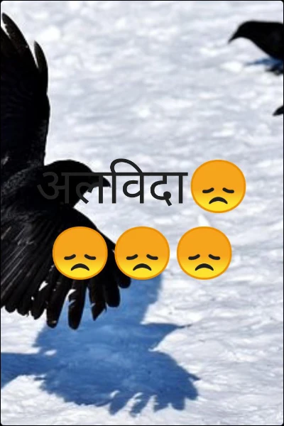 अलविदा😞😞😞😞