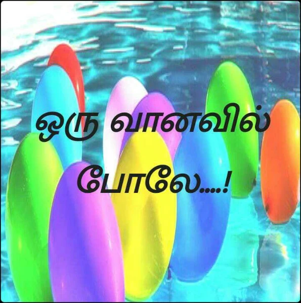 ஒரு வானவில் போலே....!