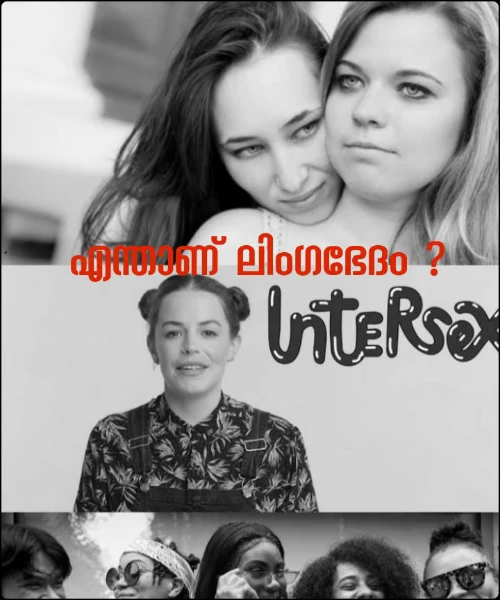 എന്താണ് ലിംഗഭേദം ?