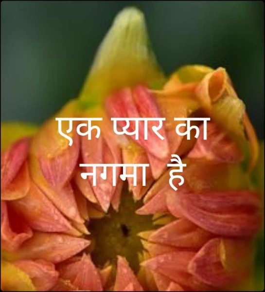 एक प्यार का नगमा  है