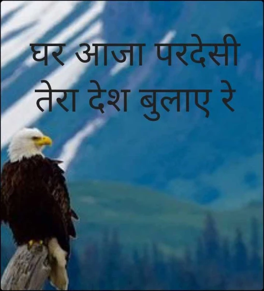 घर आजा परदेसी तेरा देश बुलाए रे....