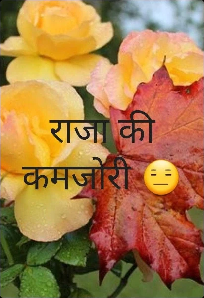 राजा💗🌷