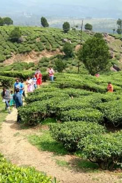आमची केरळ सहल