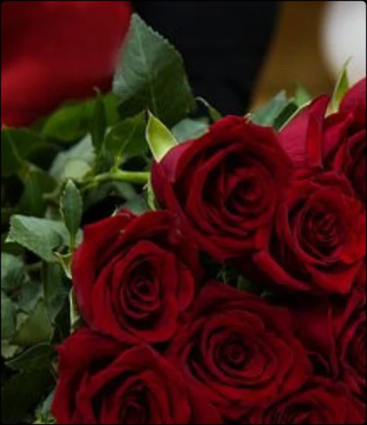 ನೀ ತಂದ ಕಾಣಿಕೆ (ಸಮಗ್ರ)