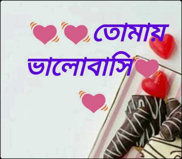 💓💓তোমায় ভালোবাসি💓💓 সিজন ১