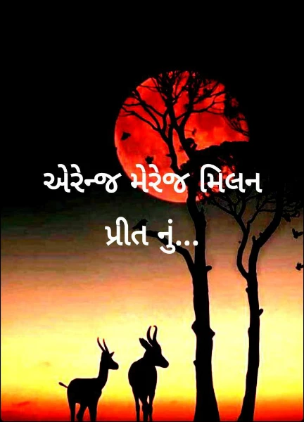 એરેન્જ મેરેજ મિલન  પ્રીત નું...