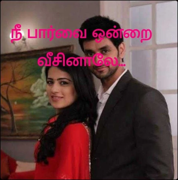 நீ பார்வை ஒன்றை வீசினாலே...