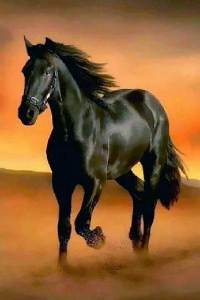 રાત નું રહસ્ય