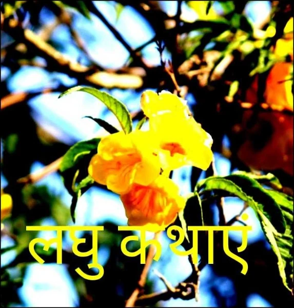 लघु कथाएं