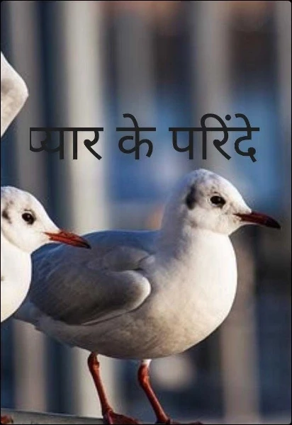 प्यार के परिंदे