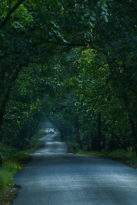 ಪ್ರಣಯ ಪಯಣ