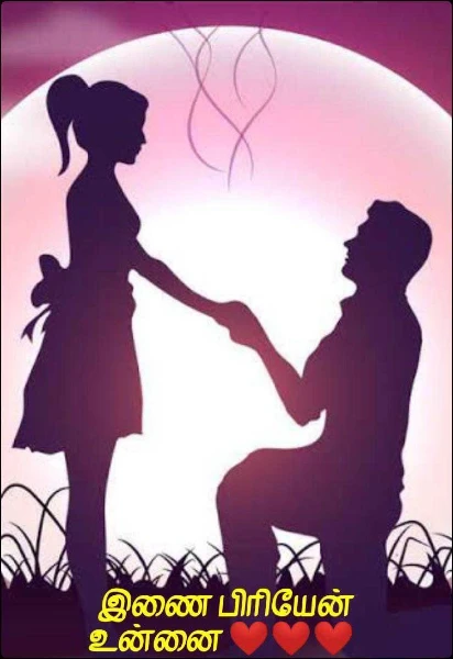 இணை பிரியேன் உன்னை ❤️❤️❤️(✔️)(புதினம்)