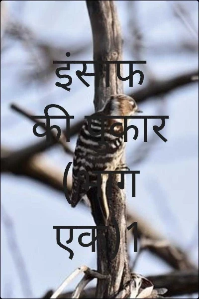 इंसाफ की पुकार (भाग एक)1(पुरुस्कृत कहानी,सेफर इंटरनेट डे)