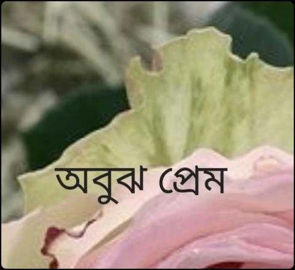 অবুঝ প্রেম