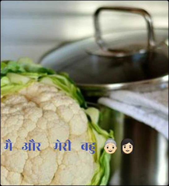 मै   और    मेरी   बहु  👵🏻👩🏻