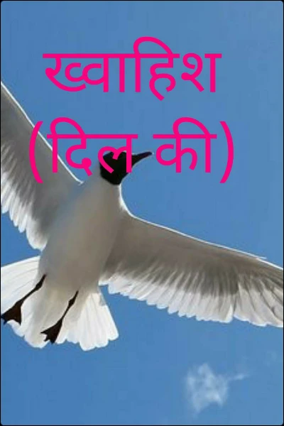 ख्वाहिश (दिल की)