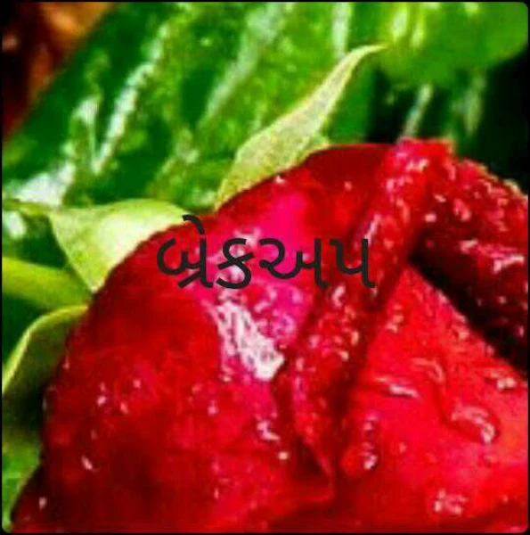 બ્રેકઅપ