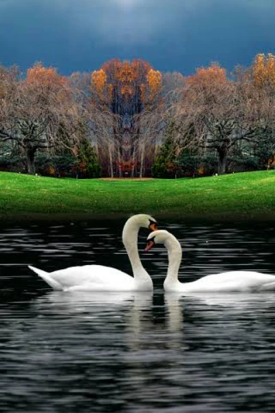 🌻🌼  लघुकथा 🌼🌻