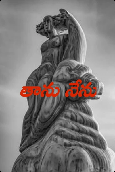 తాను నేను