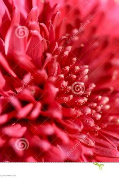 తన కోసం (కథ )