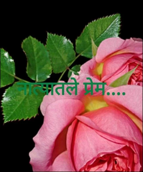 नात्यातले प्रेम....