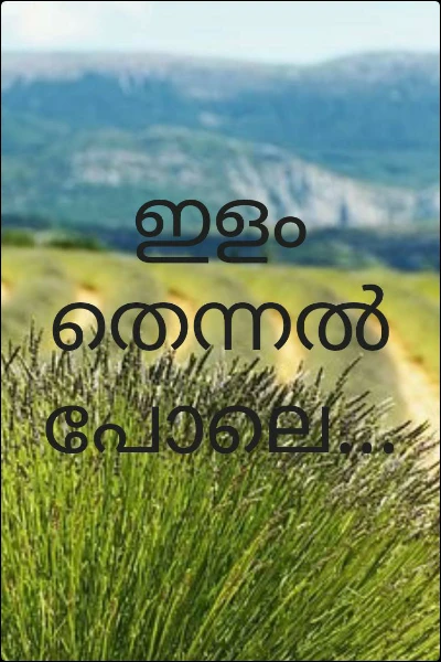 ഇളം തെന്നൽ പോലെ...
