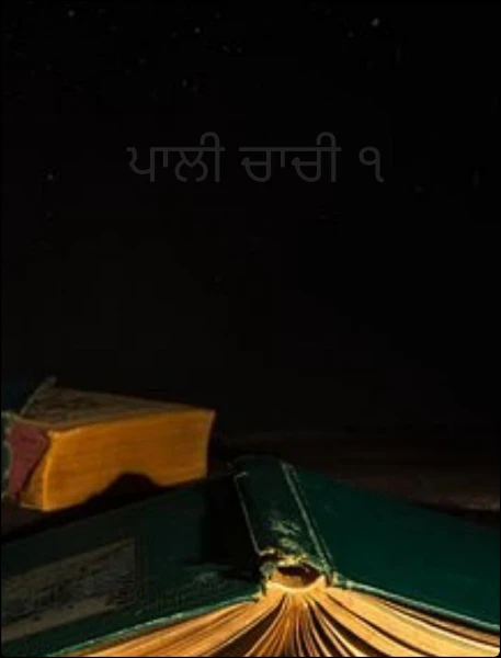 ਪਾਲੀ ਚਾਚੀ