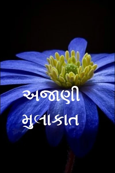 અજાણી મુલાકાત