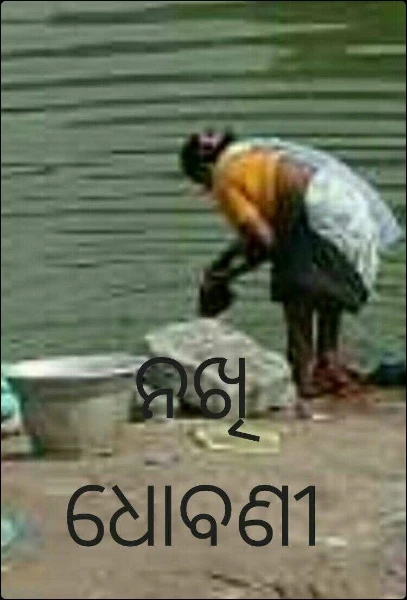 ନଖି ଧୋବଣୀ