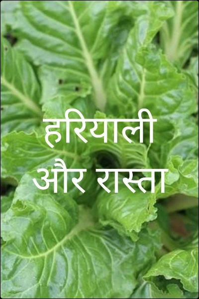 हरियाली और रास्ता