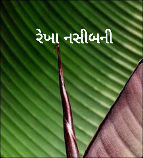 રેખા નસીબની