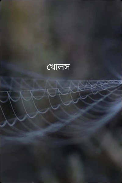 খোলস