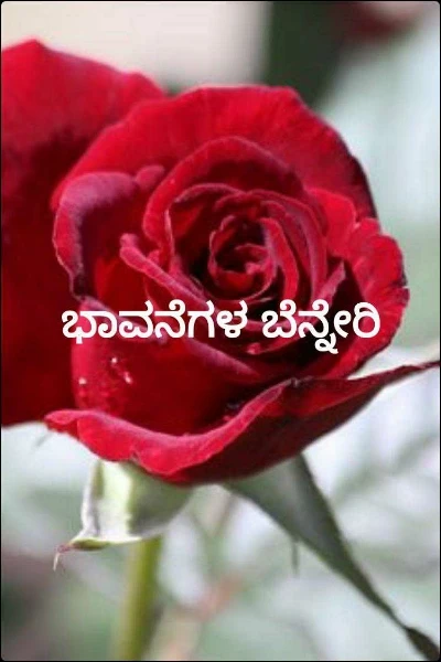 ಭಾವನೆಗಳ ಬೆನ್ನೇರಿ