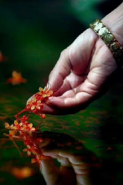 ❤ മൗനം ❤