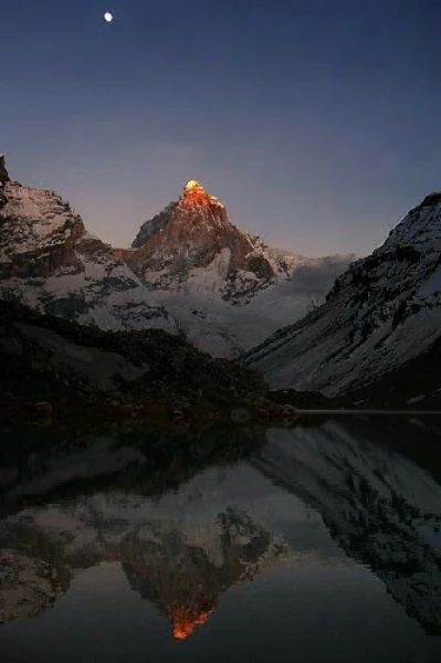 ঝরা ফুল