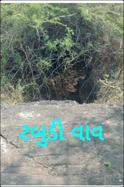 ટબુડી વાવ (વારસા ફરતે વાર્તા  વિજેતા કૃતી)